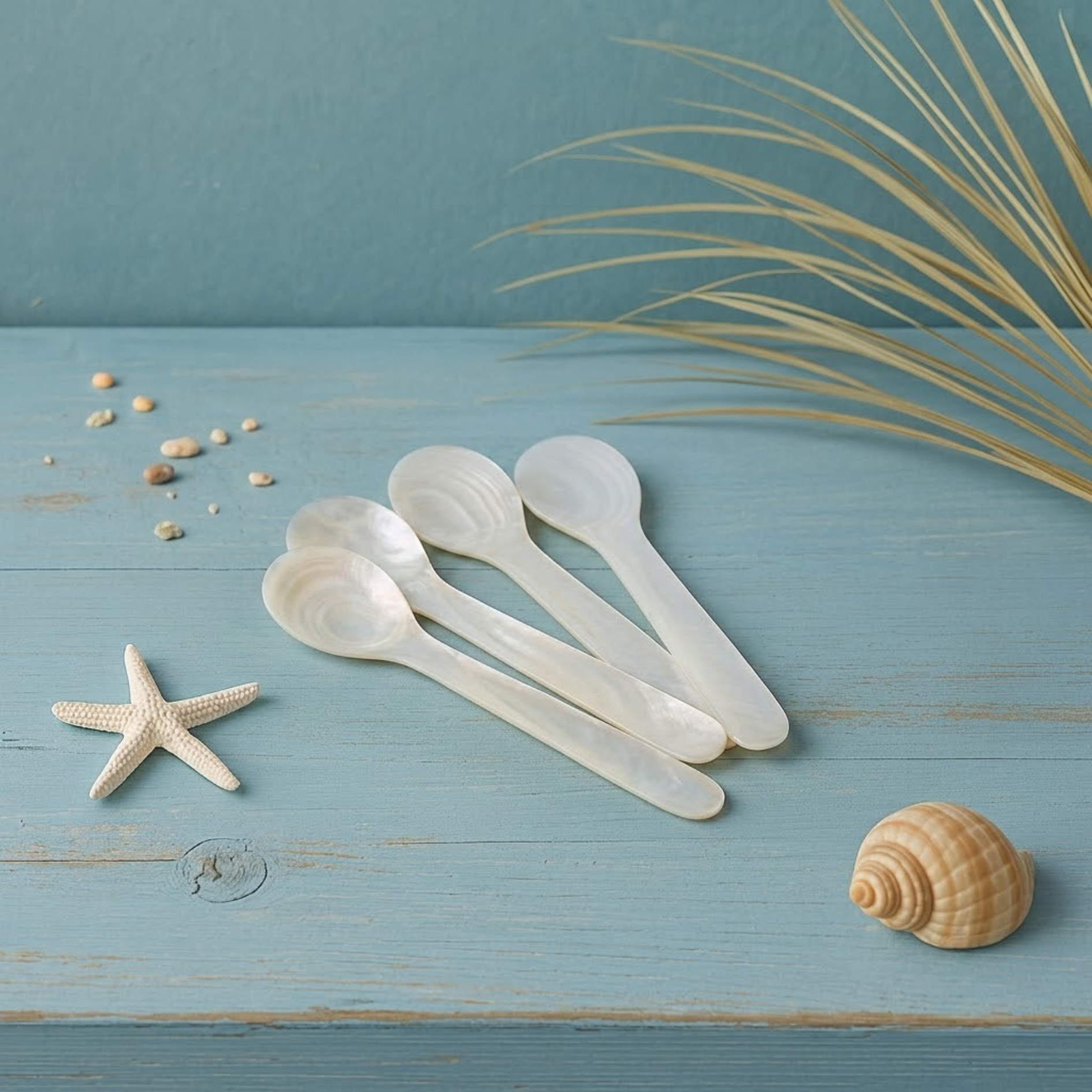 Seashell Spoons, Large Set of 4