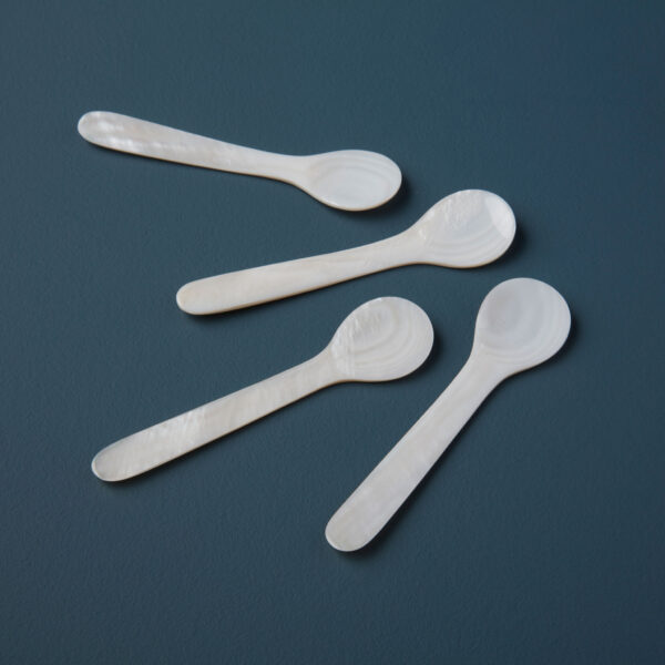 Seashell Spoons, Large Set of 4 - Image 3
