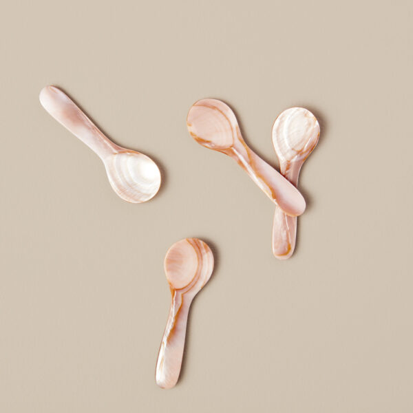 Brown Seashell Spoons, Small Set of 4 - Image 2