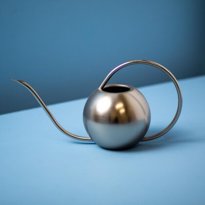 Minto Watering Can, Stainless